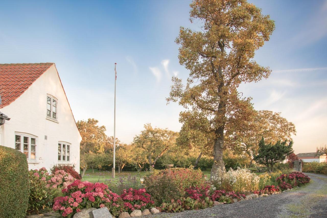Sjaelegard Countryside Lodge Allinge-Sandvig Екстер'єр фото