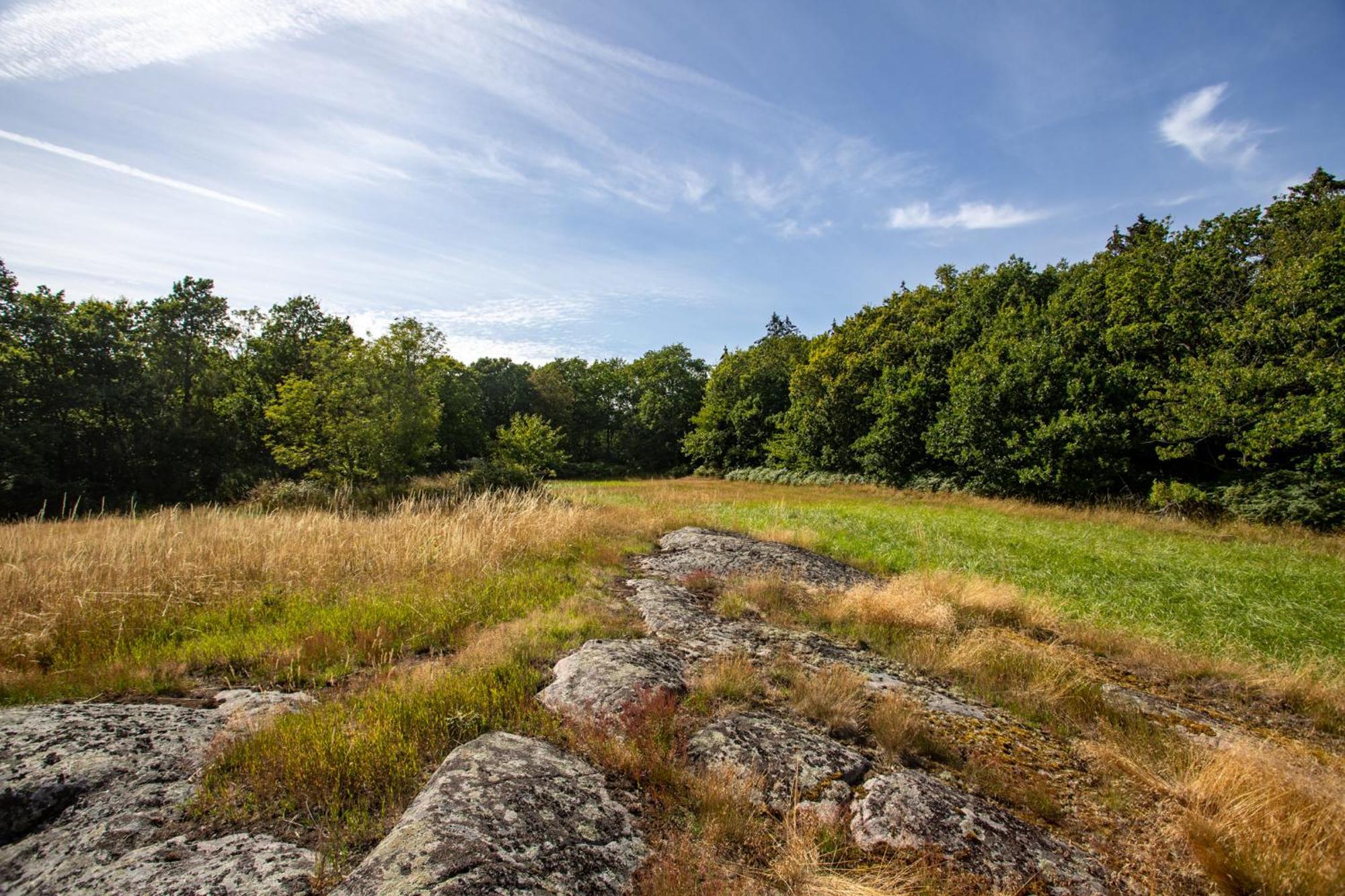 Sjaelegard Countryside Lodge Allinge-Sandvig Екстер'єр фото