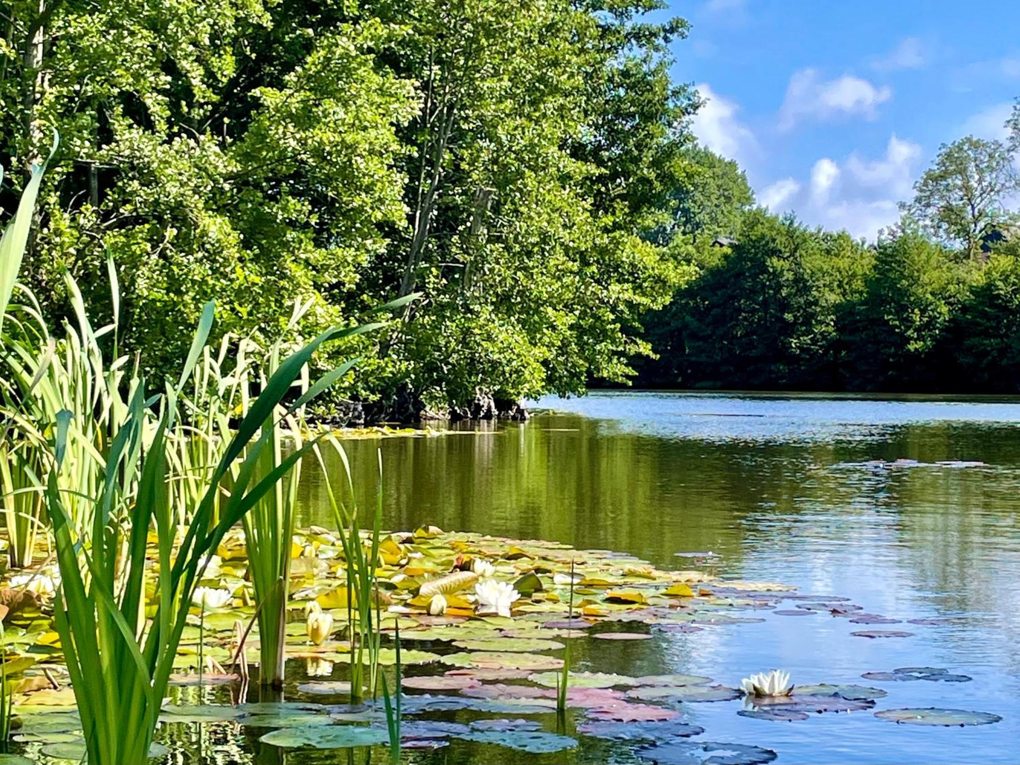 Sjaelegard Countryside Lodge Allinge-Sandvig Екстер'єр фото